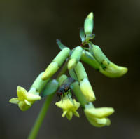 Image 16