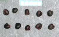Image 23
