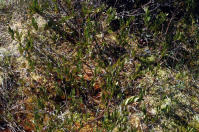Image 18