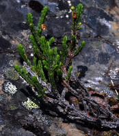 Image 14