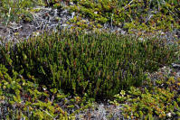 Image 16