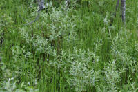 Image 16