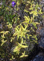 Image 13