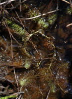 Image 24