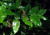 Image 14