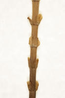 Image 23