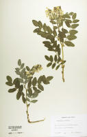 Image 17