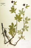 Image 22