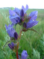 Image 22
