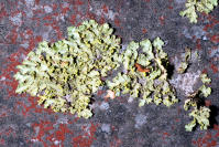 Image 14