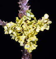 Image 16