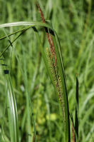 Image 14