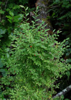 Image 23