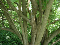 Image 17