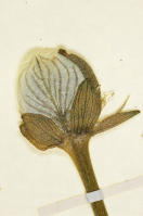 Image 14