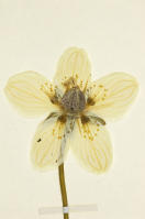 Image 15