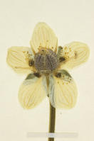 Image 16