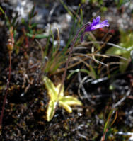 Image 14