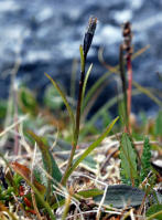 Image 14