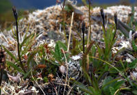 Image 15