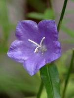 Image 14