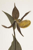 Image 14
