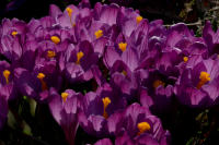 Image 23