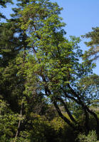 Image 13