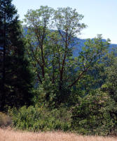Image 14
