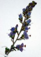 Image 14