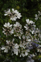 Image 14