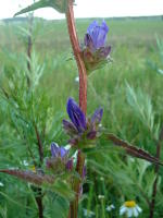 Image 24