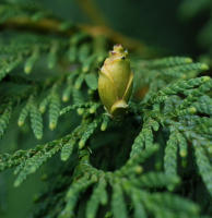 Image 17