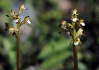 Image 14