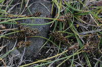 Image 14