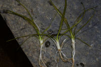 Image 23