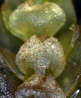 Image 24