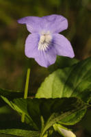 Image 23