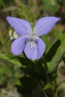 Image 24
