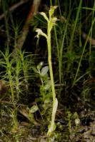 Image 16