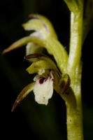 Image 18