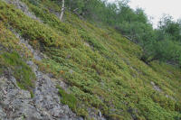 Image 13