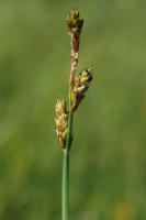 Image 16