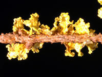 Image 18
