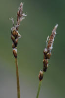Image 23