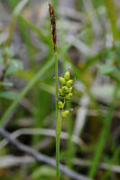 Image 16