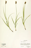 Image 23