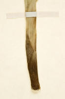 Image 24