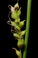 Image 23
