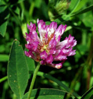 Image 14